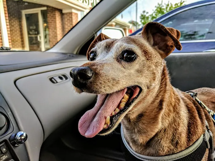 Parkside Animal Hospital 7