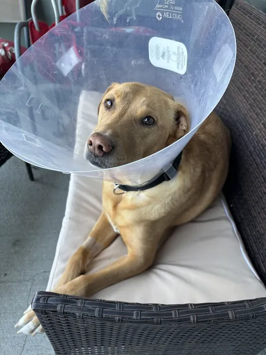Parkside Animal Hospital 9