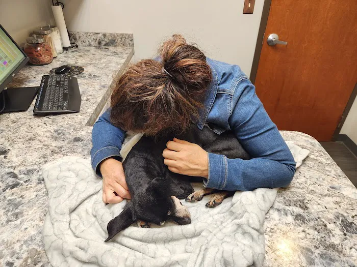Parkside Animal Hospital 5