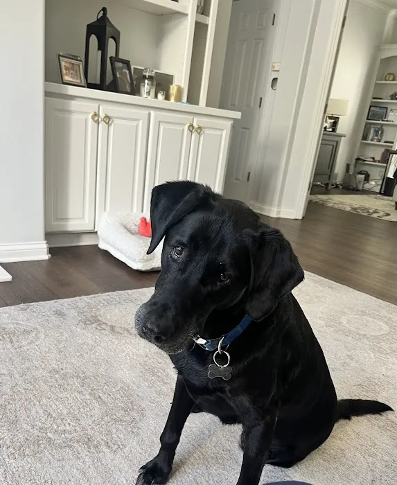 Parkside Animal Hospital 10
