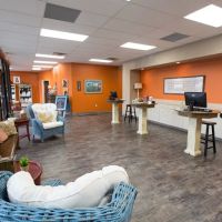 All-Star Veterinary Clinic ico