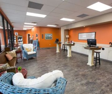 All-Star Veterinary Clinic