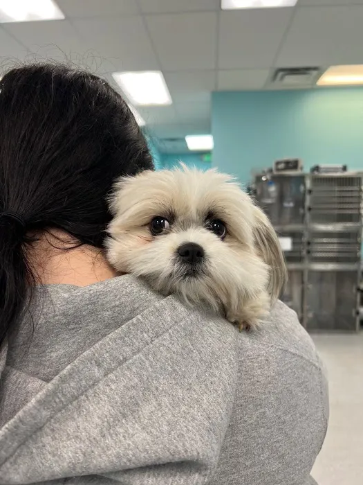 PetVet Animal Hospital 7