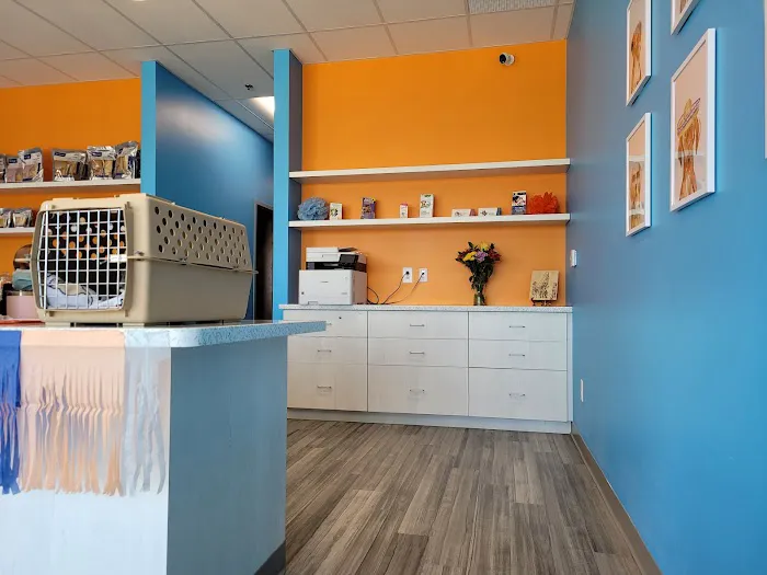 PetVet Animal Hospital 1