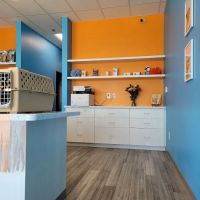 PetVet Animal Hospital ico
