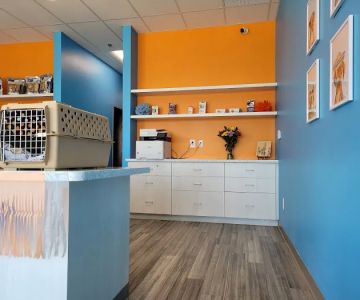 PetVet Animal Hospital