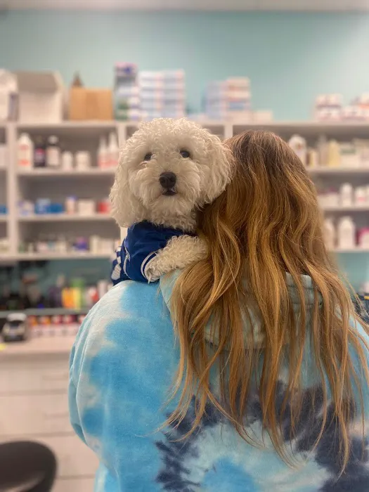 PetVet Animal Hospital 3