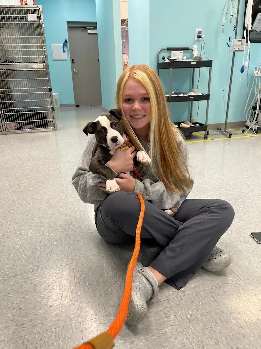 PetVet Animal Hospital 6