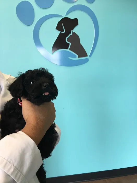 Noble West Animal Hospital 12