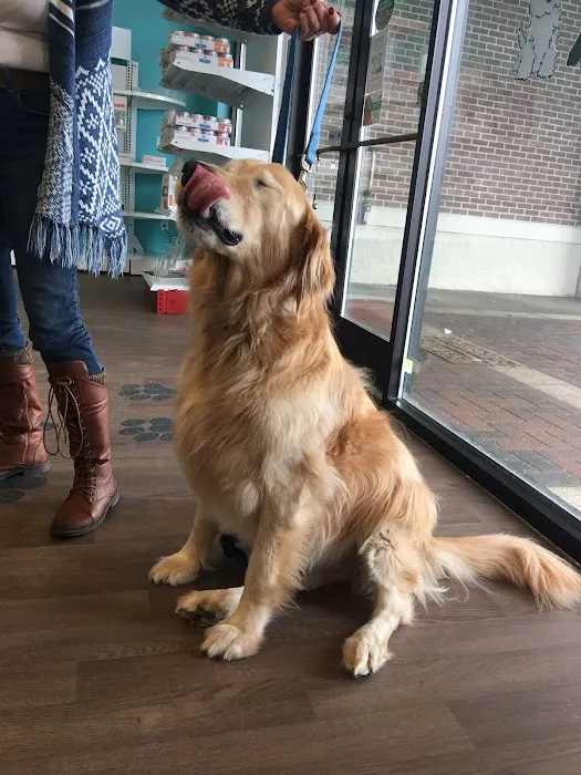 Noble West Animal Hospital 12