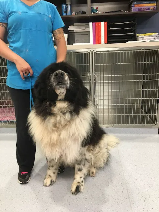 Noble West Animal Hospital 12