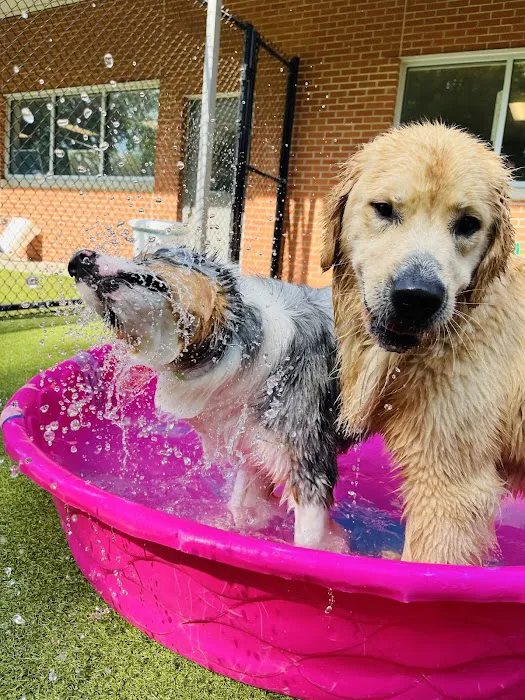 VCA Village Park Animal Hospital and Range Pet Lodge 8