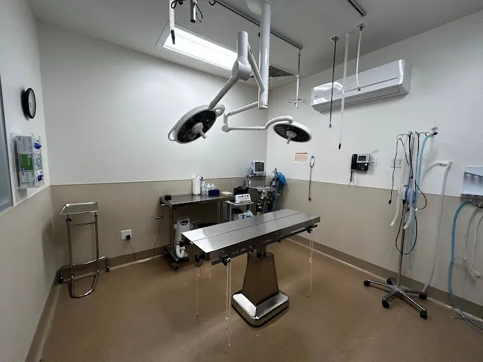 VCA Village Park Animal Hospital and Range Pet Lodge 3