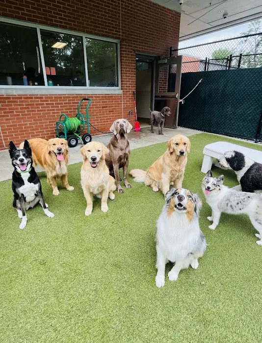 VCA Village Park Animal Hospital and Range Pet Lodge 9