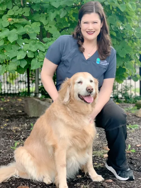 Danville Veterinary Hospital 1