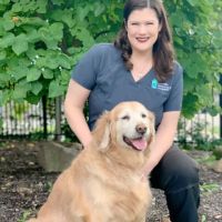 Danville Veterinary Hospital ico