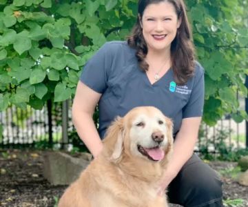Danville Veterinary Hospital