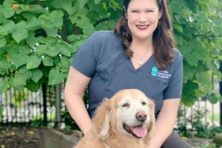 Danville Veterinary Hospital