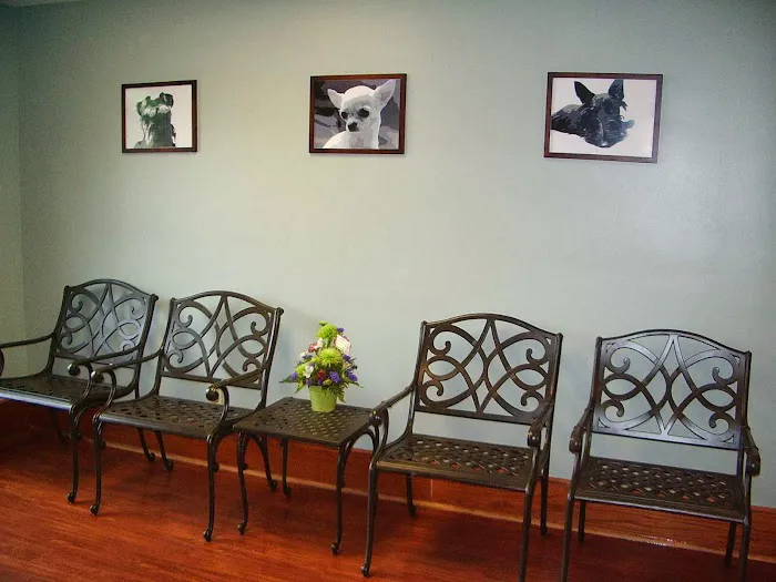 Danville Veterinary Hospital 6