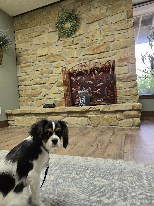 Olive Animal Hospital 1