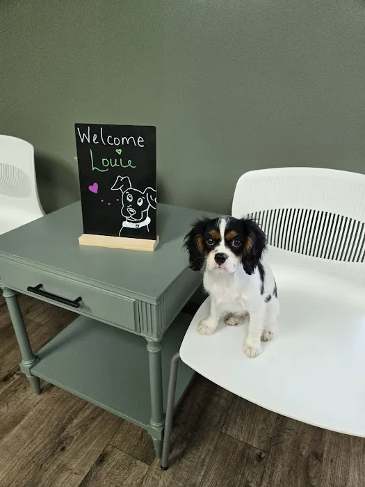 Olive Animal Hospital 2