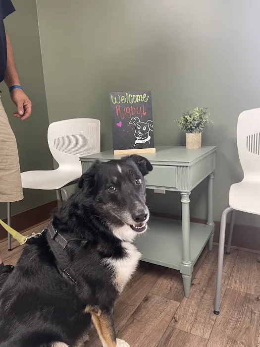 Olive Animal Hospital 3