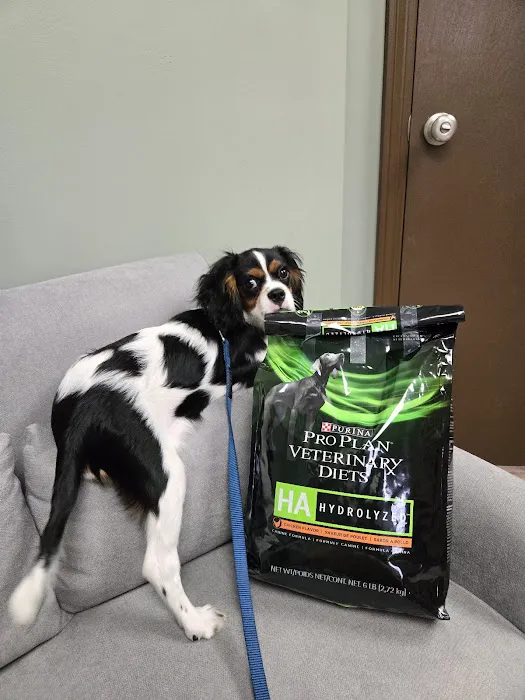 Olive Animal Hospital 8