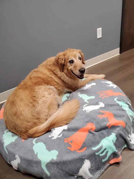 Healthy Paws Animal Hospital 4