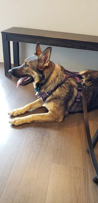 Healthy Paws Animal Hospital 6
