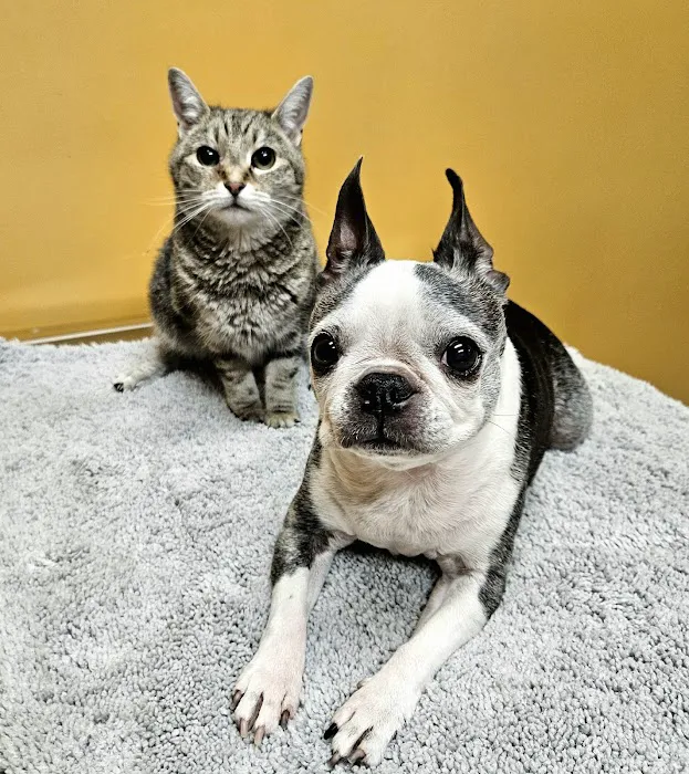 Community Pet Healthcare 12