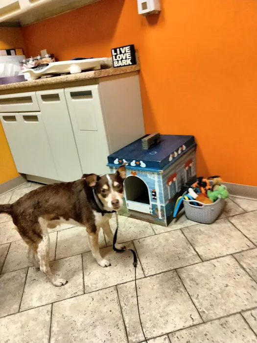 Community Pet Healthcare 12