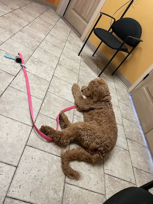 Community Pet Healthcare 12