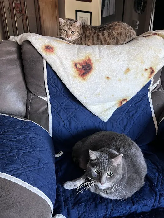 Community Pet Healthcare 12