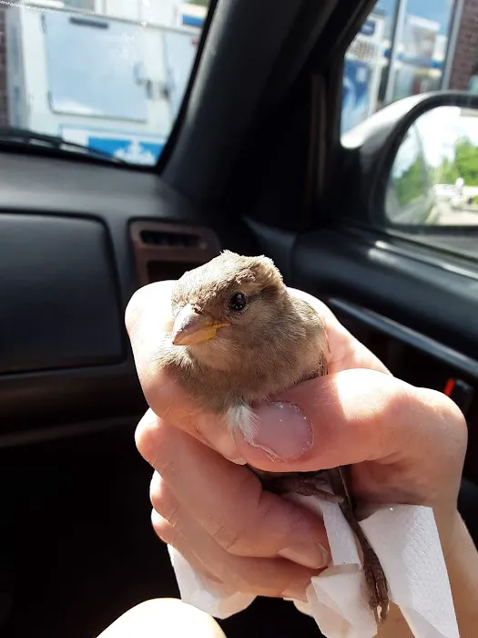 Avian & Exotic Animal Clinic 3