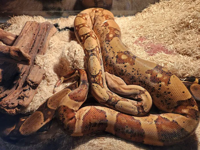 Avian & Exotic Animal Clinic 9
