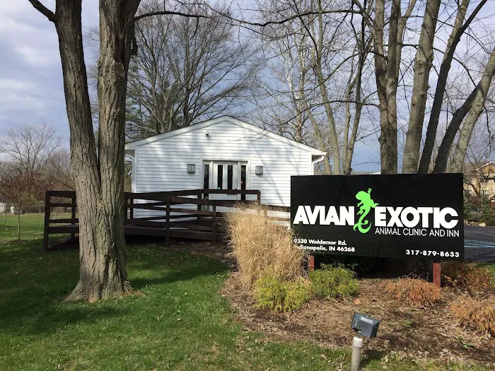 Avian & Exotic Animal Clinic 10