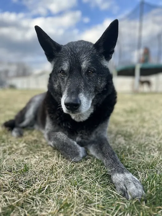 Pendleton Veterinary Clinic 6