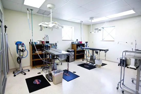 VCA Companion Animal Medical Center 12