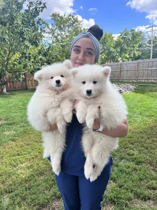 VCA Companion Animal Medical Center 12