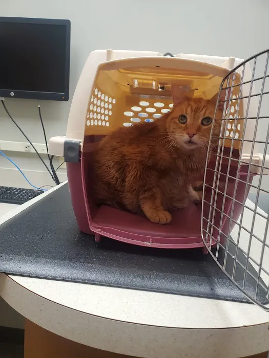 VCA Companion Animal Medical Center 12