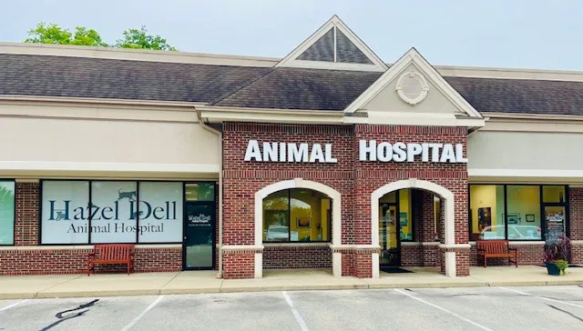 Hazel Dell Animal Hospital 1