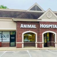 Hazel Dell Animal Hospital ico