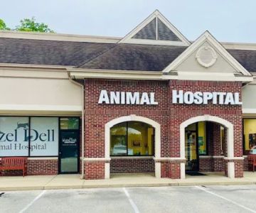 Hazel Dell Animal Hospital