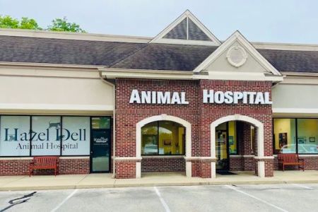 Hazel Dell Animal Hospital