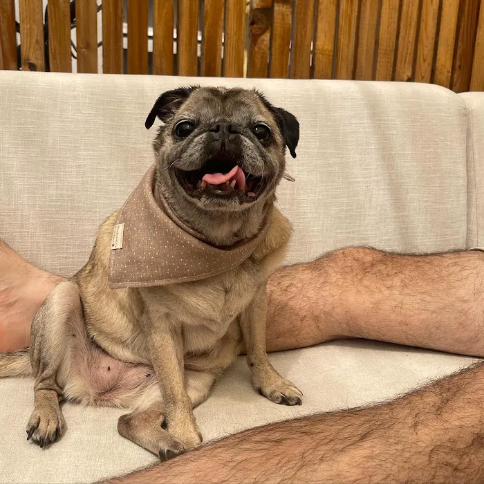 Hazel Dell Animal Hospital 5