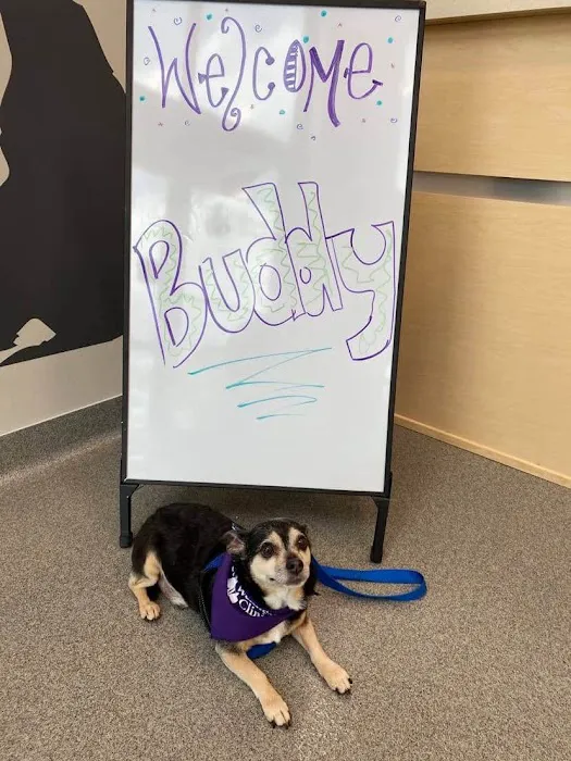 Carmel Pet Wellness Clinic 12