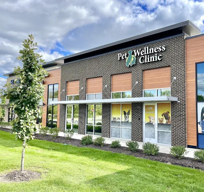 Carmel Pet Wellness Clinic 12
