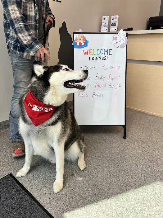 Carmel Pet Wellness Clinic 12