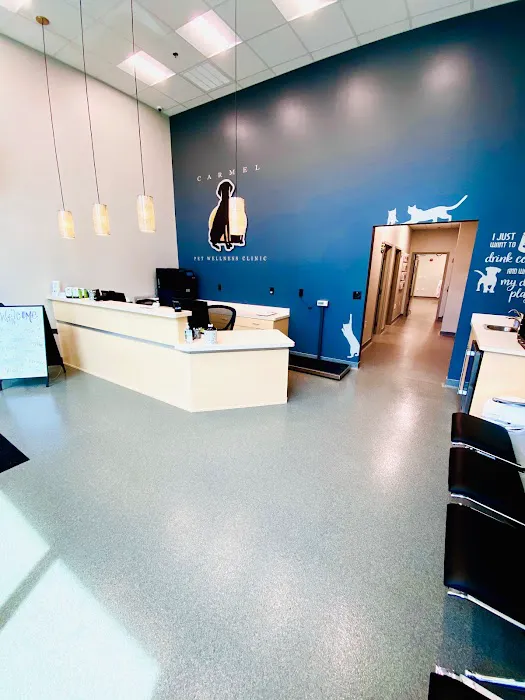 Carmel Pet Wellness Clinic 12