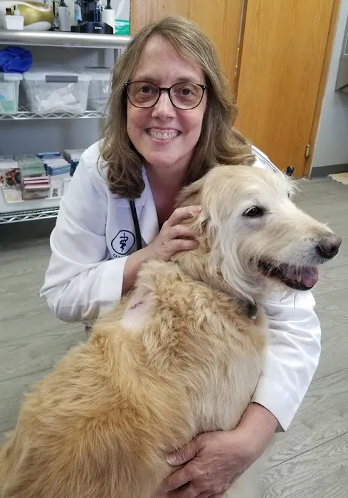 Chicago Drive Veterinary Clinic 12